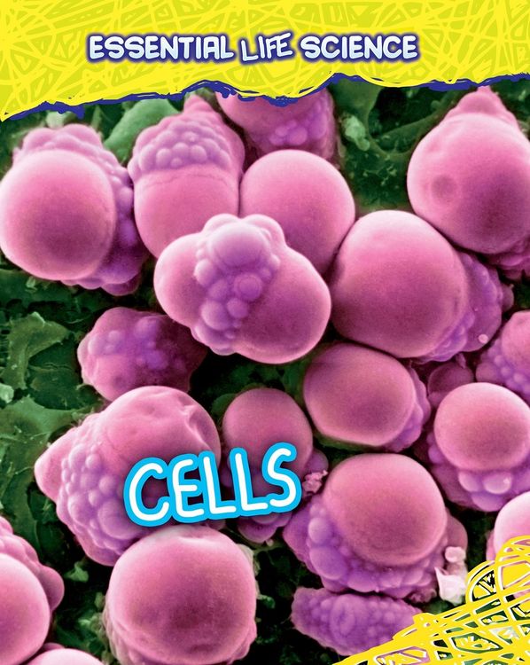 Produktbild: Cells