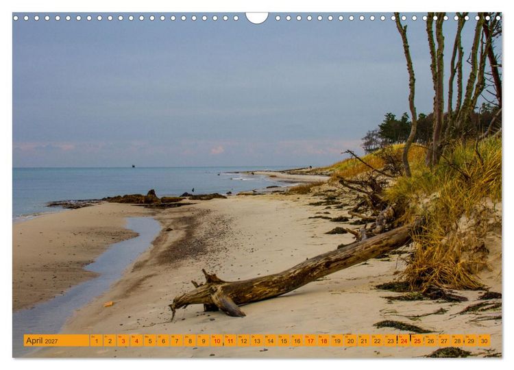 Produktbild: Wilder Dar&szlig;er Weststrand (Wandkalender 2027 DIN A3 quer), CALVENDO Monatskalender