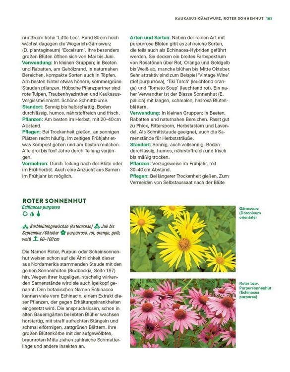 Produktbild: Das gro&szlig;e Buch der Stauden und Sommerblumen