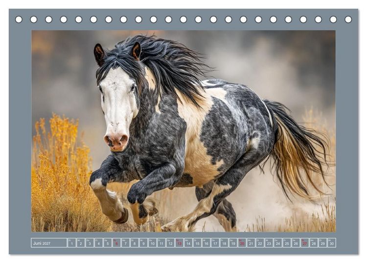 Produktbild: Mustangs. Pferde in ihrer wildesten Sch&ouml;nheit (Tischkalender 2027 DIN A5 quer), CALVENDO Monatskalender
