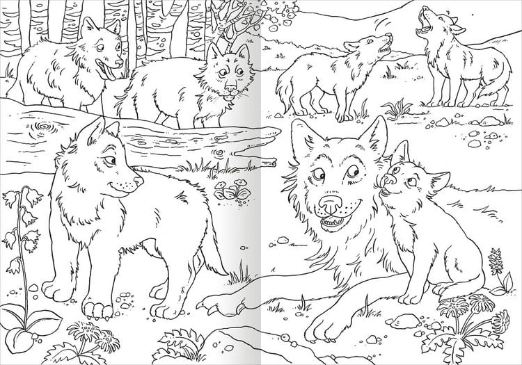 Produktbild: Das superdicke Malbuch &ndash; Tiere