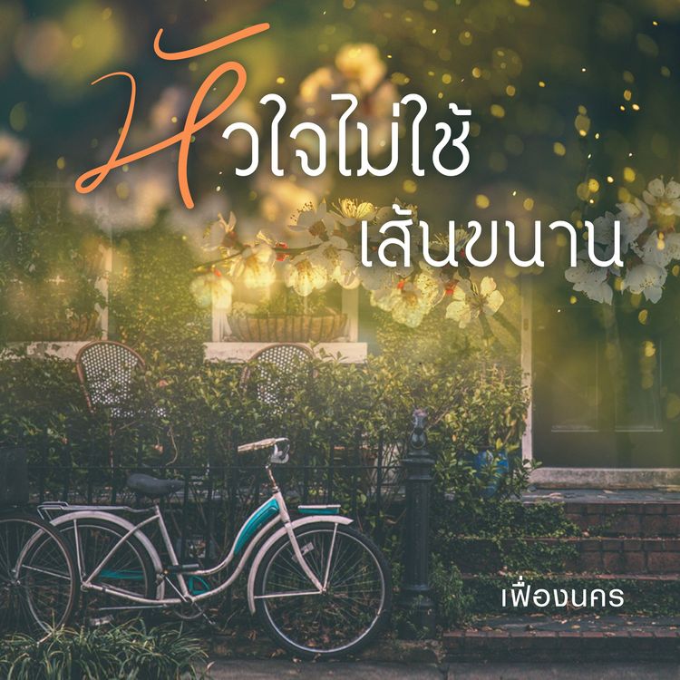 Produktbild: หัวใจไม่ใช้เส้นขนาน