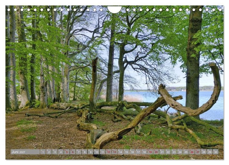 Produktbild: Am sch&ouml;nsten Uferabschnitt der Schlei (Wandkalender 2027 DIN A4 quer), CALVENDO Monatskalender