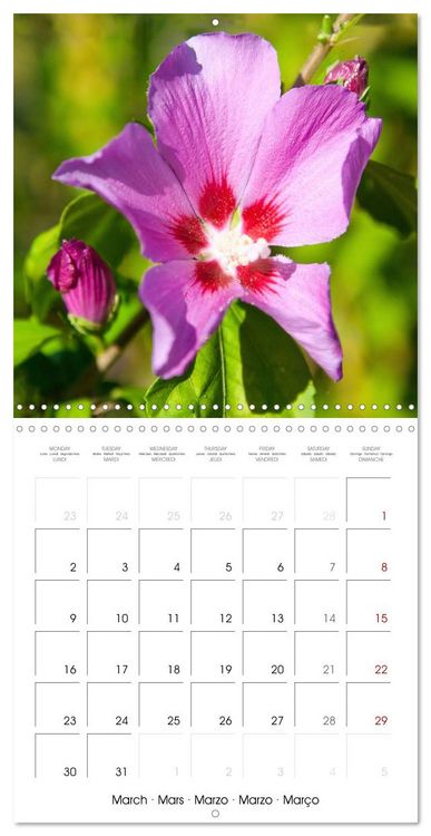 Produktbild: Herbal Haven. Enchanting Healing Plants (Wall Calendar 2026 12 &times; 12 Inch) CALVENDO 12 Month Wall Calendar