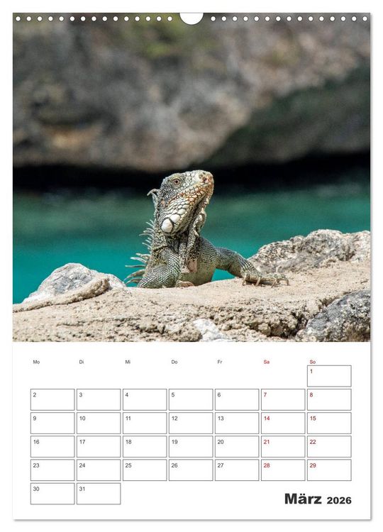 Produktbild: Curacao - Terminplaner (Wandkalender 2026 DIN A3 hoch), CALVENDO Monatskalender