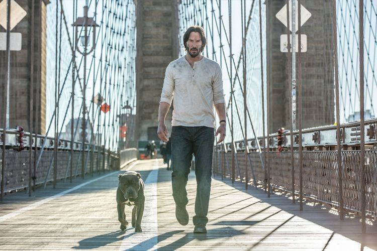 Produktbild: John Wick: Kapitel 2