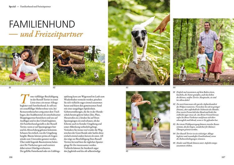 Produktbild: Parson und Jack Russell Terrier