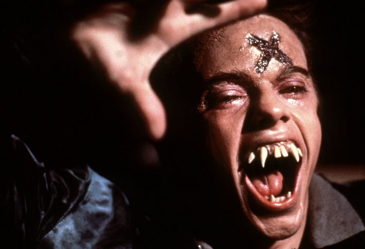 Produktbild: Die rabenschwarze Nacht - Fright Night
