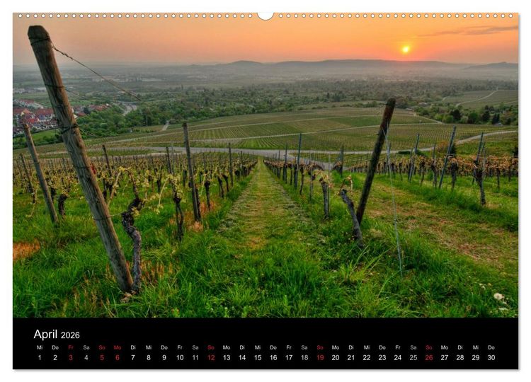 Produktbild: Weinberge im Remstal (Wandkalender 2026 DIN A2 quer), CALVENDO Monatskalender