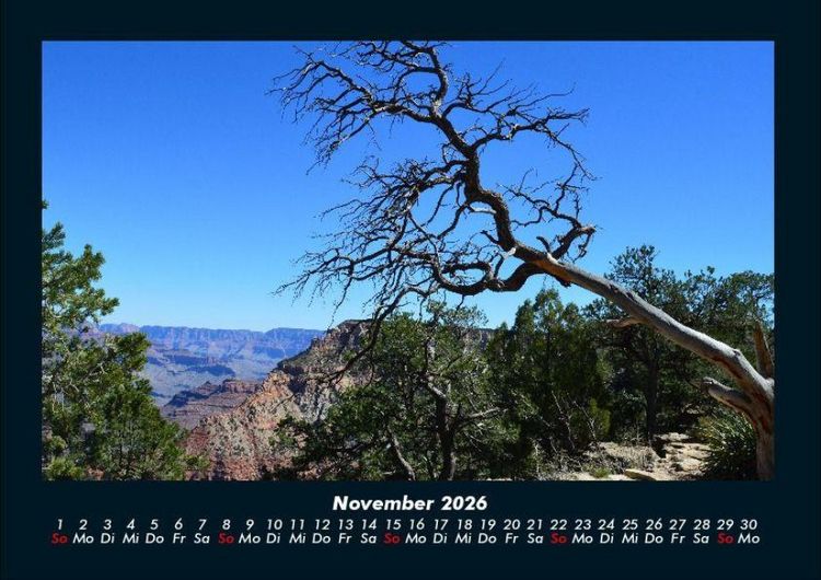 Produktbild: B&auml;ume 2026 Fotokalender DIN A4
