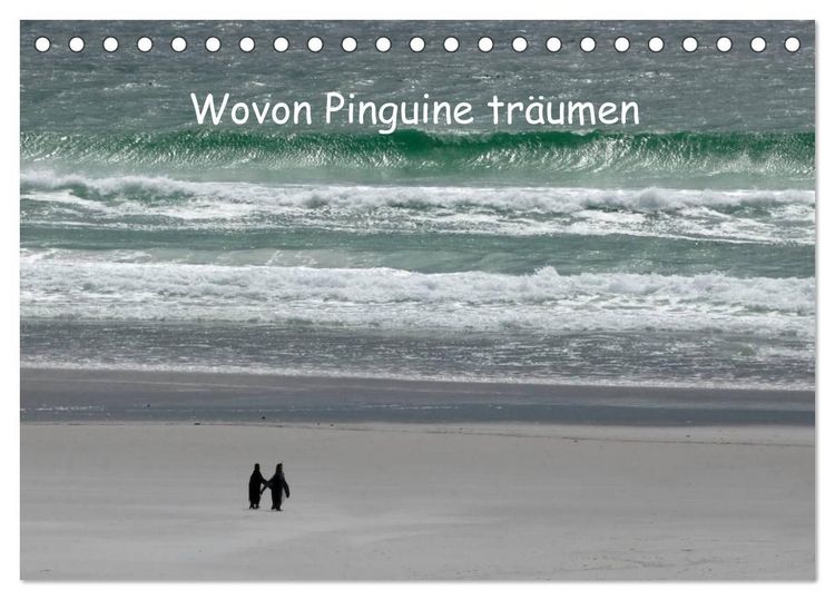 Produktbild: Wovon Pinguine tr&auml;umen (Tischkalender 2027 DIN A5 quer), CALVENDO Monatskalender