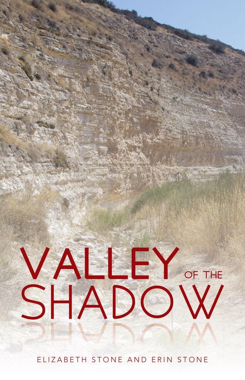 Produktbild: Valley of the Shadow