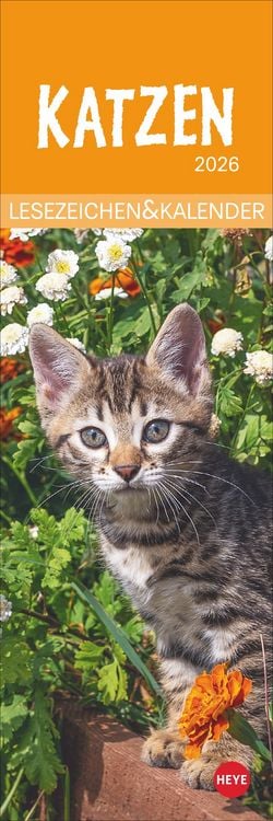 Bild vom Artikel Katzen Lesezeichen & Kalender 2026 vom Autor 