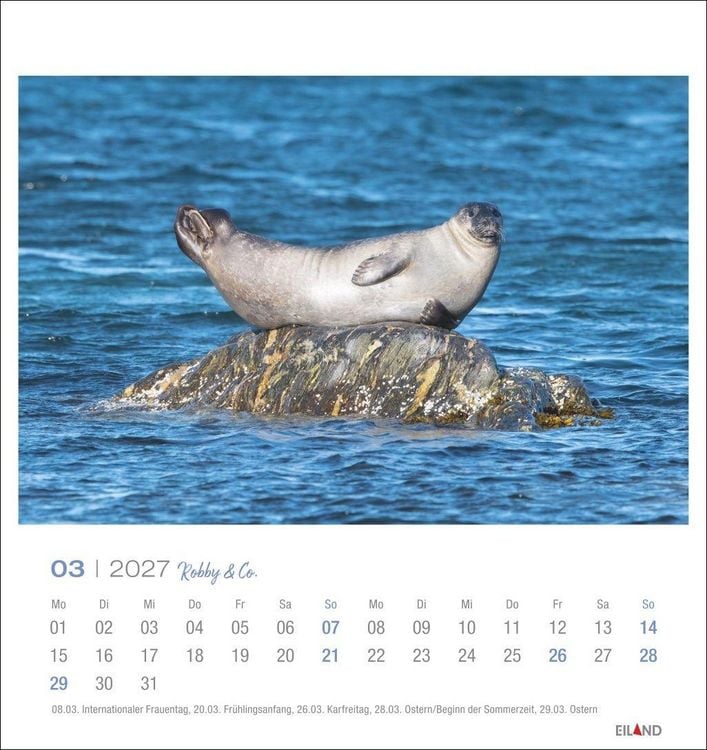 Produktbild: Robby & Co. Postkartenkalender 2027