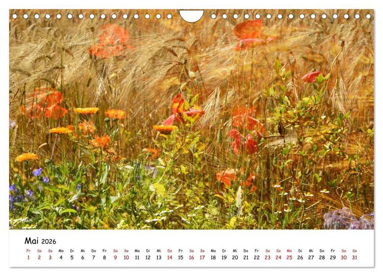 Produktbild: Pinneberger Art (Wandkalender 2026 DIN A4 quer), CALVENDO Monatskalender