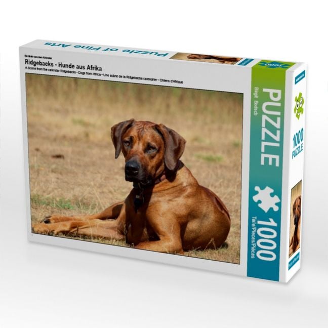 Produktbild: CALVENDO Puzzle Ein Motiv aus dem Kalender Ridgebacks - Hunde aus Afrika | 1000 Teile Lege-Gr&ouml;&szlig;e 64x48cm Foto-Puzzle f&uuml;r gl&uuml;ckliche Stunden