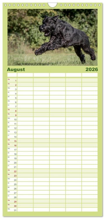 Produktbild: Familienplaner 2026 - Schnauzer... von Zwergen und Riesen 2026 mit 5 Spalten (Wandkalender, 21 x 45 cm) CALVENDO
