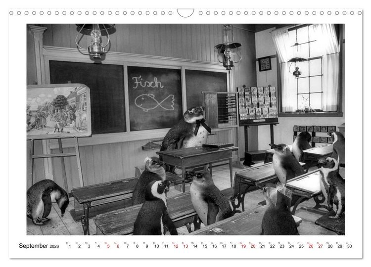 Produktbild: Pinguine privat (Wandkalender 2026 DIN A3 quer), CALVENDO Monatskalender