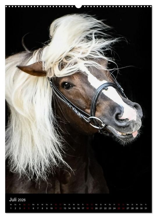 Produktbild: Schwarzw&auml;lder F&uuml;chse von Julia Hahn Photography (hochwertiger Premium Wandkalender 2026 DIN A2 hoch), Kunstdruck in Hochglanz