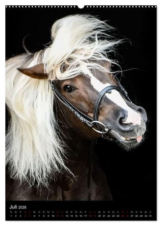 Produktbild: Schwarzw&auml;lder F&uuml;chse von Julia Hahn Photography (Wandkalender 2026 DIN A2 hoch), CALVENDO Monatskalender
