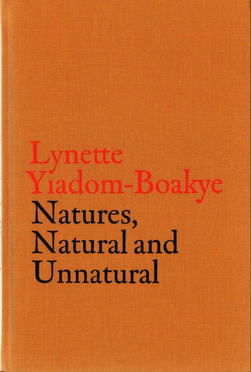 Produktbild: V-A-C Collection: Lynette Yiadom-Boakye