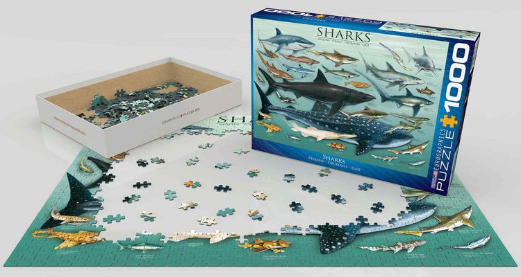 Produktbild: Sharks