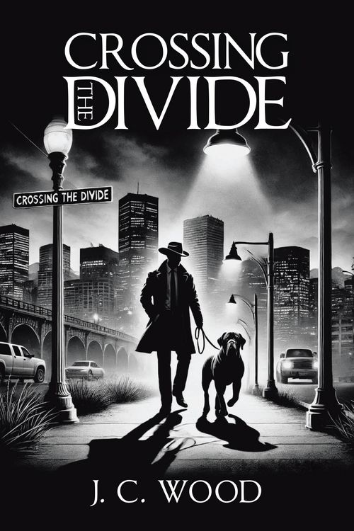 Produktbild: Crossing the Divide