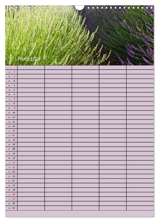 Produktbild: Naturzauber Lavendel - Familienplaner (Wandkalender 2026 DIN A3 hoch), CALVENDO Monatskalender