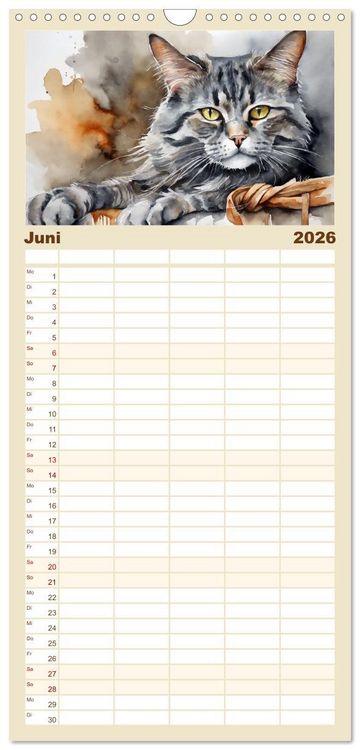 Produktbild: Familienplaner 2026 - Samtpfoten im Portrait mit 5 Spalten (Wandkalender, 21 x 45 cm) CALVENDO