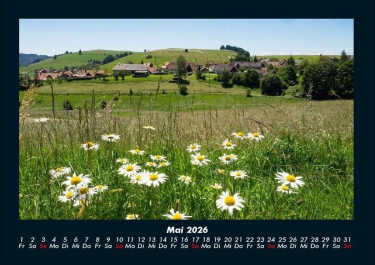 Produktbild: Blumenkalender 2026 Fotokalender DIN A4