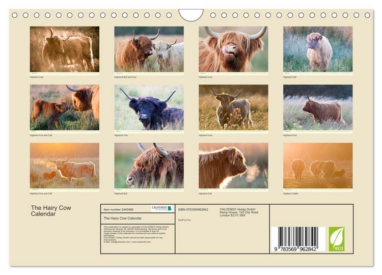 Produktbild: The Hairy Cow Calendar (Wall Calendar 2027 DIN A4 landscape), CALVENDO 12 Month Wall Calendar