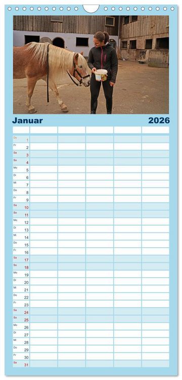 Produktbild: Familienplaner 2026 - Faszination Haflinger mit 5 Spalten (Wandkalender, 21 x 45 cm) CALVENDO