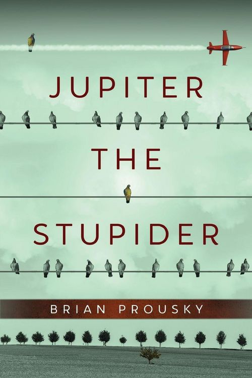 Produktbild: Jupiter the Stupider