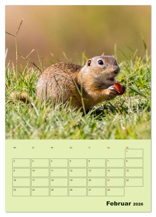Produktbild: H&ouml;rnchen aus aller Welt (Wandkalender 2026 DIN A3 hoch), CALVENDO Monatskalender
