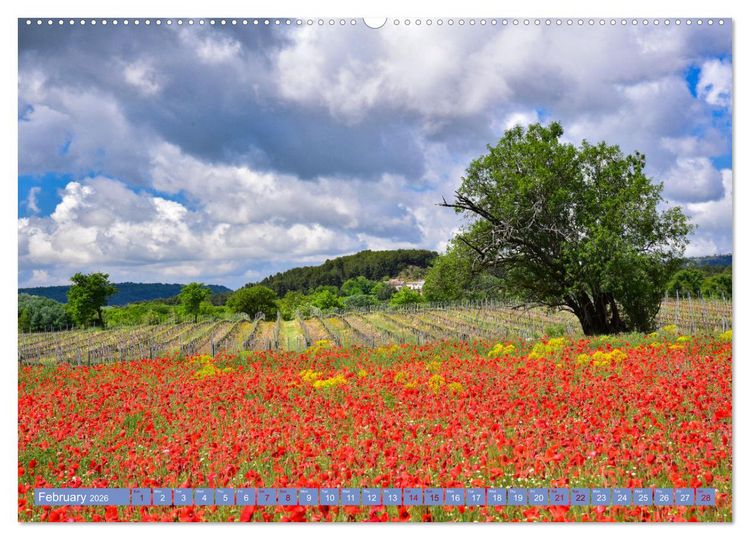 Produktbild: Discover the Beauty of Provence (High Quality Premium Wall Calendar 2026 DIN A2 landscape),CALVENDO 12 Month Wall Calendar