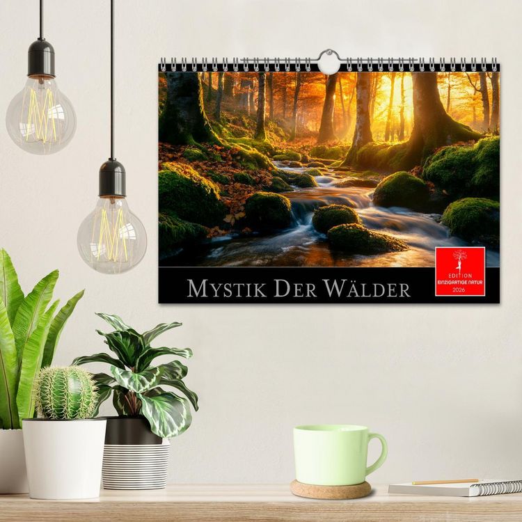 Produktbild: Mystik der W&auml;lder (Wandkalender 2026 DIN A4 quer), CALVENDO Monatskalender