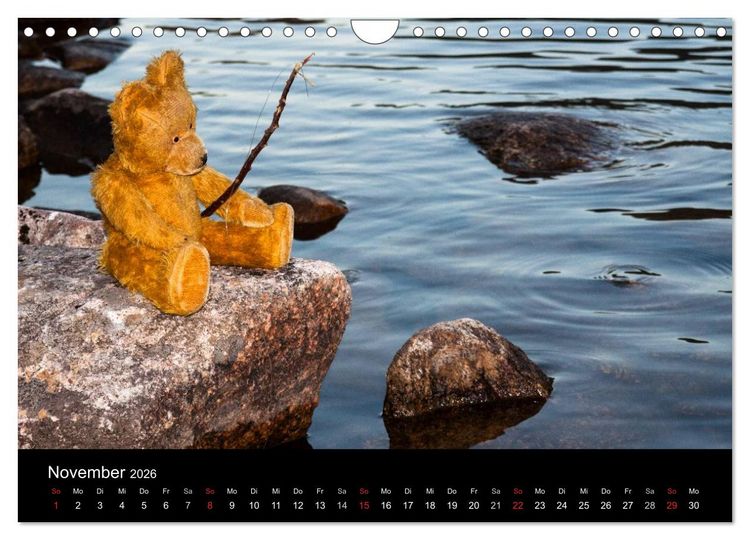 Produktbild: Teddy Basse, Fortsetzung... (Wandkalender 2026 DIN A4 quer), CALVENDO Monatskalender