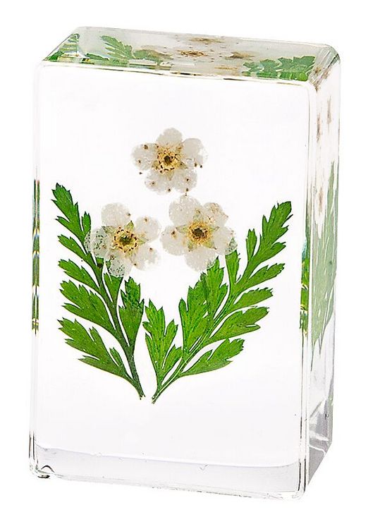 Produktbild: Blatt & Bl&uuml;te Forever Flowers