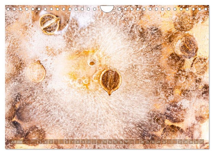 Produktbild: W&uuml;rziges Eis (Wandkalender 2026 DIN A4 quer), CALVENDO Monatskalender