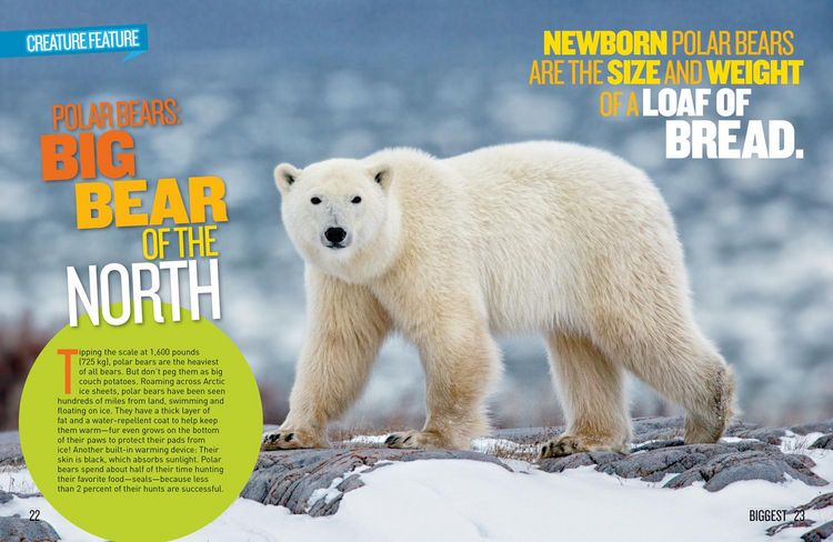 Produktbild: National Geographic Kids Extreme Records