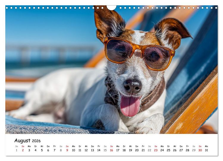 Produktbild: JACK RUSSEL - Kleine Hunde mit gro&szlig;em Charakter (Wandkalender 2026 DIN A3 quer), CALVENDO Monatskalender