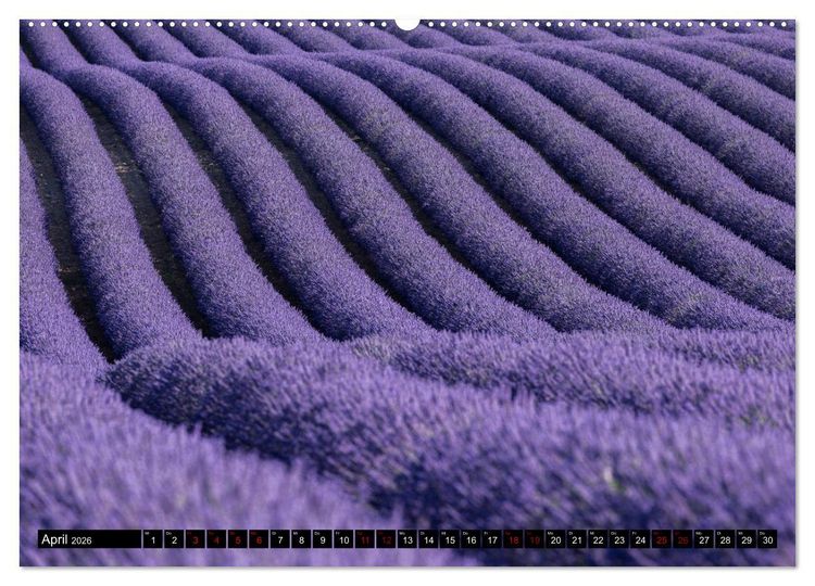 Produktbild: Provence im Rausch der Farben (Wandkalender 2026 DIN A2 quer), CALVENDO Monatskalender