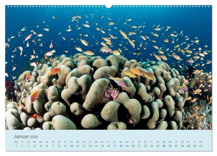 Produktbild: Abenteuer Unterwasser (Wandkalender 2026 DIN A2 quer), CALVENDO Monatskalender