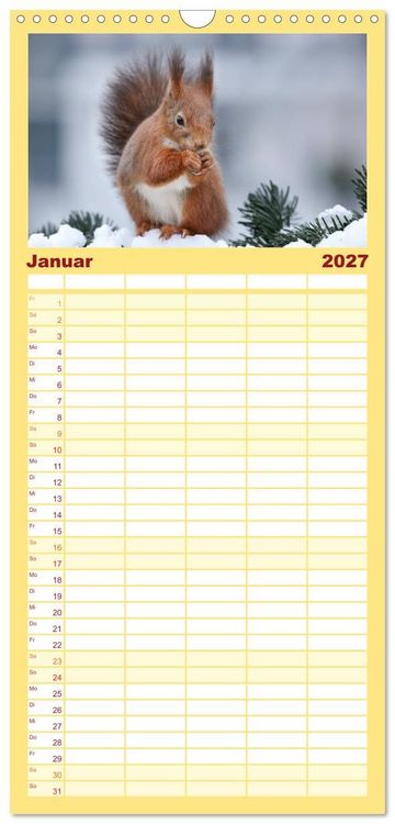 Produktbild: Familienplaner 2027 - Eichh&ouml;rnchen in zauberhaften Posen mit 5 Spalten (Wandkalender, 21 x 45 cm) CALVENDO