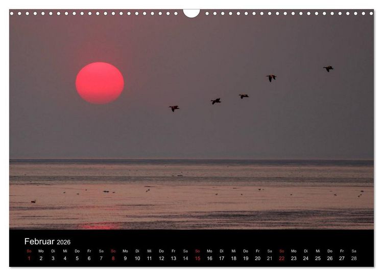 Produktbild: Im Norden - An der Nordsee in Deutschland (Wandkalender 2026 DIN A3 quer), CALVENDO Monatskalender