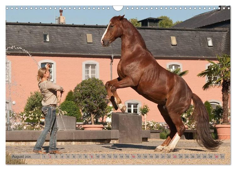 Produktbild: Natural Horsemanship - Partnerschaft mit Pferden (Wandkalender 2026 DIN A3 quer), CALVENDO Monatskalender