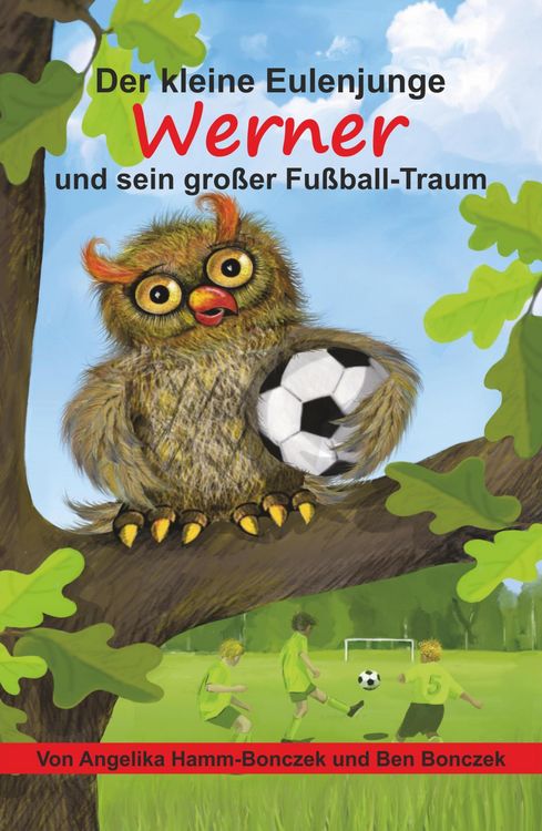 Produktbild: Der kleine Eulenjunge Werner und sein gro&szlig;er Fu&szlig;ball-Traum
