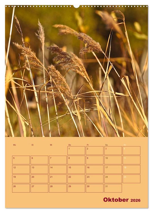 Produktbild: Wald- und Wiesenkalender 2026 Planer (hochwertiger Premium Wandkalender 2026 DIN A2 hoch), Kunstdruck in Hochglanz