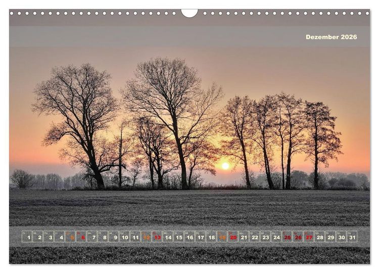 Produktbild: Licht im Land (Wandkalender 2026 DIN A3 quer), CALVENDO Monatskalender