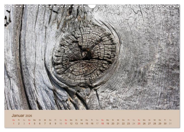 Produktbild: Farben des Holzes (Wandkalender 2026 DIN A3 quer), CALVENDO Monatskalender